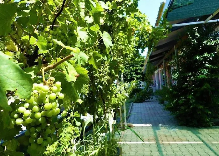 Le Relais De La Rn7 Hotel 3*
